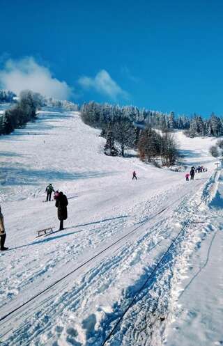 Загородные дома Cottage Kurshevel Славское-4